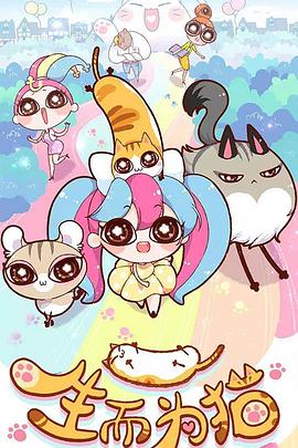 网站优化公司如何选